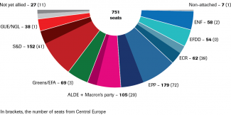 Graph. The mandates of Central European countries in political groups after the 2019 elections to the European Parliament