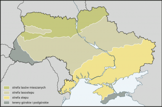 Strefy roślinne Ukrainy