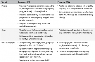 Elementy programów AfD i BSW-1