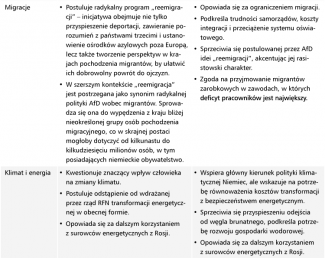 Elementy programów AfD i BSW-3