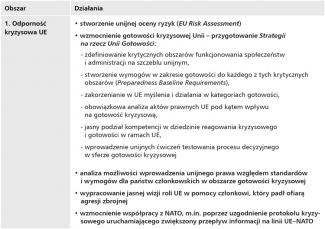 Wybrane propozycje działań zawarte w raporcie Niinistö-1