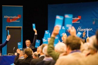 AfD – the alternative for whom?