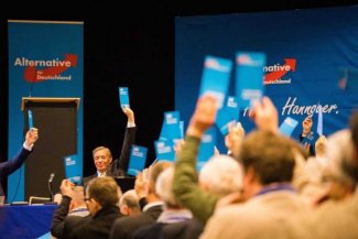 AfD – alternatywa dla kogo?