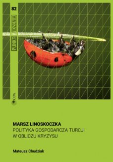 Okładka raport "Marsz linoskoczka. Polityka gospodarcza Turcji w obliczu kryzysu"