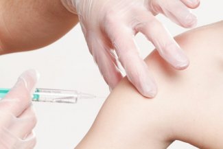 Zdjęcia przedstawia proces szczepienia